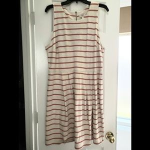 NWT Loft Dress